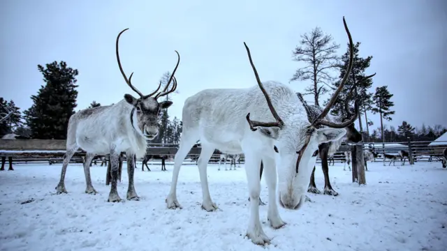 Фото Макса Ломакіна