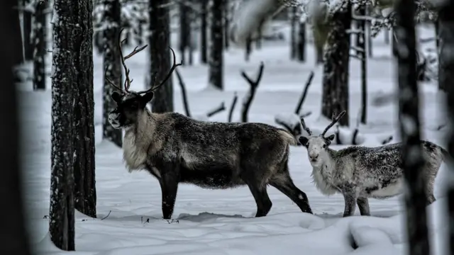 Фото Макса Ломакіна