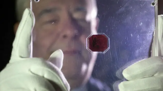 1856年发行的八边形英属圭亚那面值一分洋红邮票（The British Guiana one-cent magenta）在2014年的拍卖会上创下了纪录，以950万美元的价格拍出。（图片来源：Oli Scarff/Getty Images）