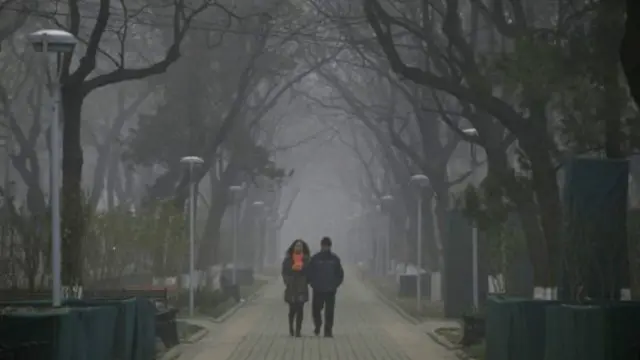 عندما يكون المشي للتريض في الحدائق مضرا بالصحة