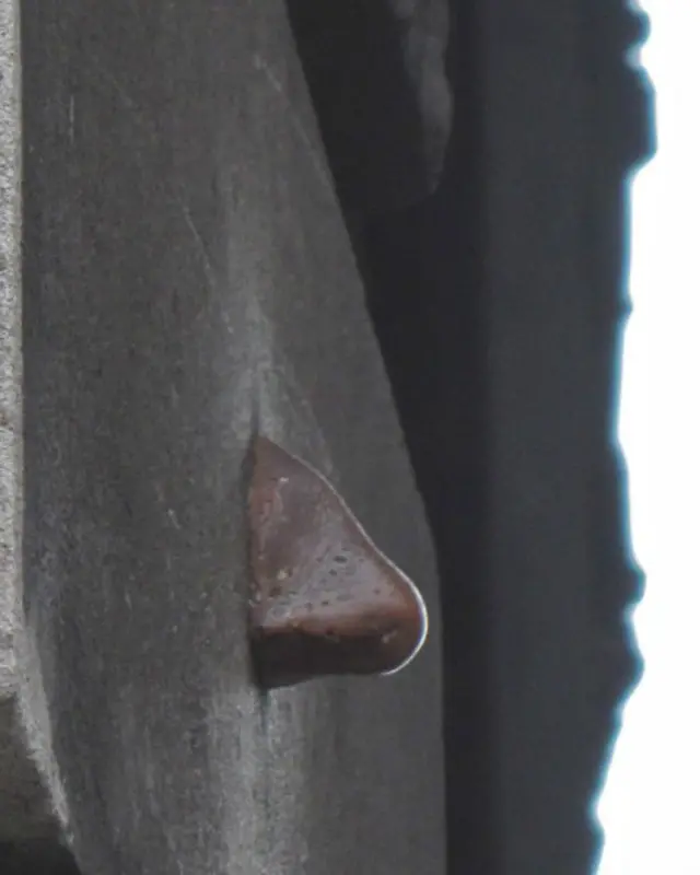 Ніс на Адміралтейській Арці 