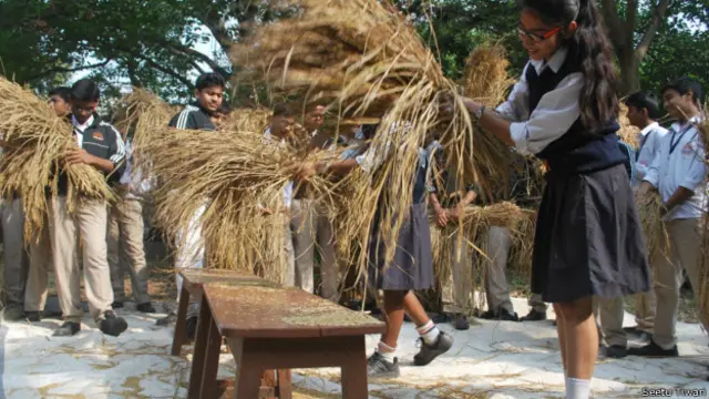 तरुमित्र, स्कूली बच्चे