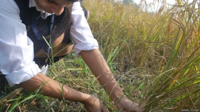 tarumitra_kids_farming
