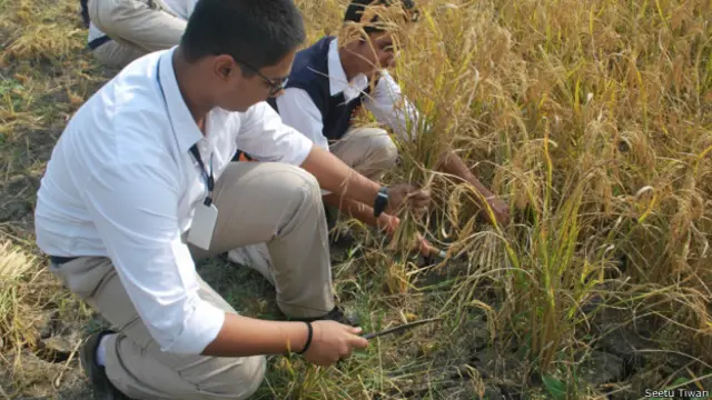 tarumitra_kids_farming