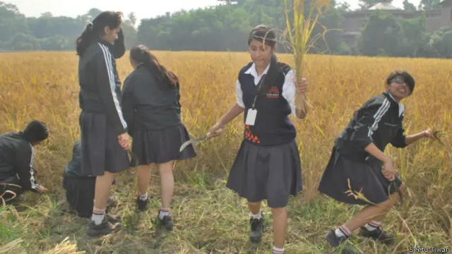 tarumitra_kids_farming