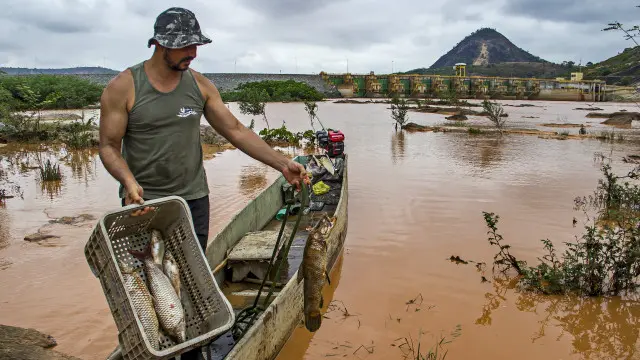 Benilde Madeira: 'Preciso abandonar minha casa, meu canto e procurar outro rio para poder trabalhar'