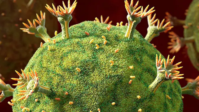 Процесс заражения клетки ВИЧ