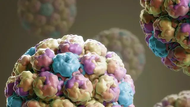 Вирус, которым заражались обезьяны