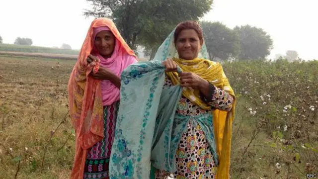 पाकिस्तान कपास चुनने वाली महिलाएं