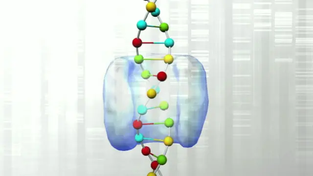 Модель гена