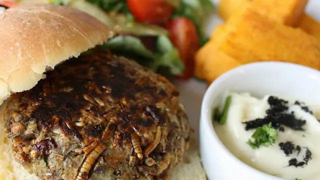 Насекомые в пище