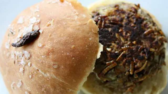 Коронное блюдо ресторана Grub Kitchen – бургер с насекомыми
