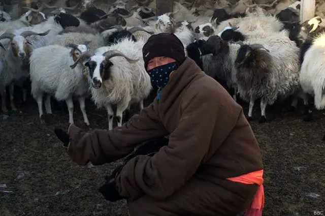 तिब्बत के पठार में क्वी कुन जिया