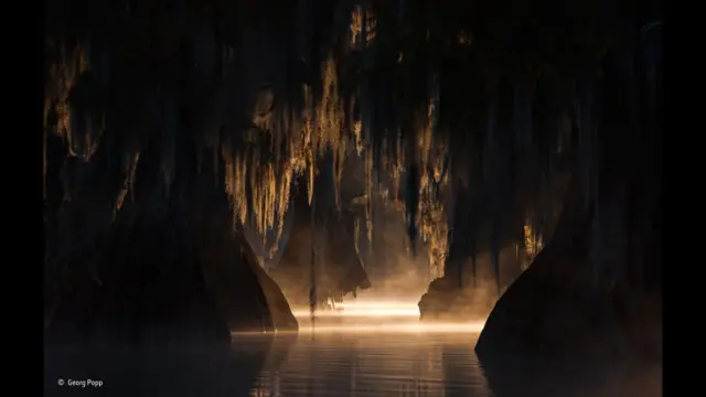 Pantano (Foto: Georg Popp)