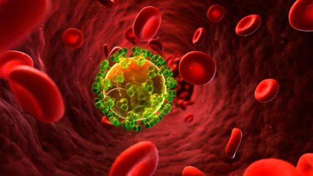 一个被HIV感染的细胞(图片来源：Sebastian Kaulitzki/SPL)