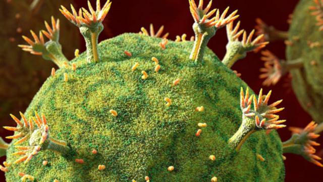 HIV微粒正在感染细胞(图片来源：Animated Healthcare Ltd/SPL)
