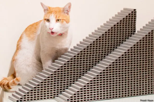 पूजा को शुरू में अपना विज़न माता-पिता व शिक्षकों को समझाने में वक़्त लगा क्योंकि उस दौर में इस तरह के काम की कोई कल्पना भी नहीं कर सकता था.