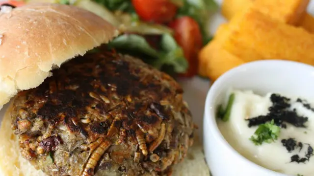 Hamburguesa de bichos