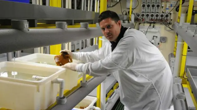 澳大利亚创业者