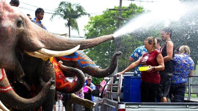 甚至大象都在泼水节期间加入了沙努克的行列(图片来源：Pornchai Kittiwongsakul/Getty)