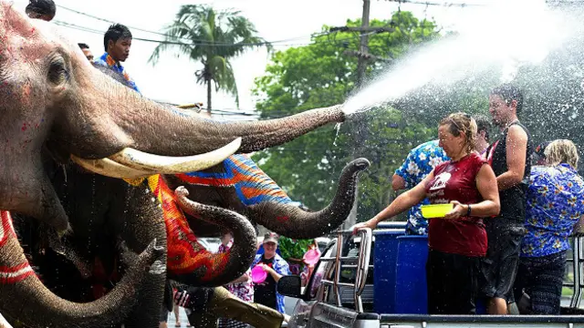Даже слоны разделяют общий санук во время Сонгкрана