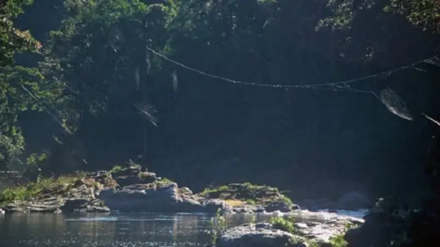 ليس هذا حبلا لتجفيف الملابس المغسولة، بل خيط عنكبوت يمتد عبر ضفتي نهر