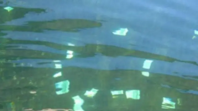 Euros flotando en el Danubio