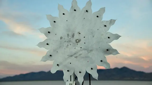 Для тестирования технологии в пустыне использовалась эта масштабная модель Starshade 