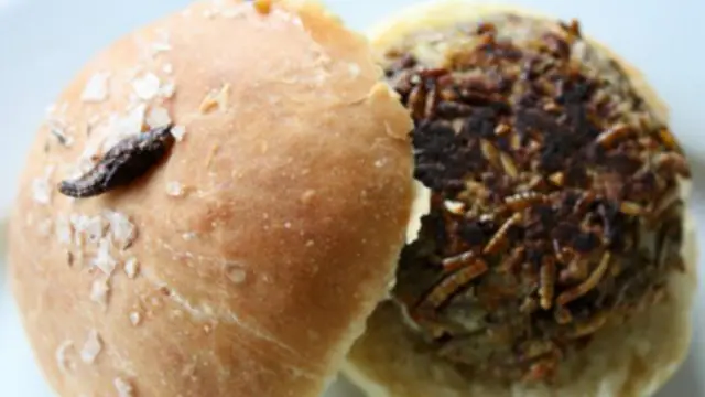 Grub Kitchen的招牌菜：虫子汉堡(图片来源：Nic Fleming)