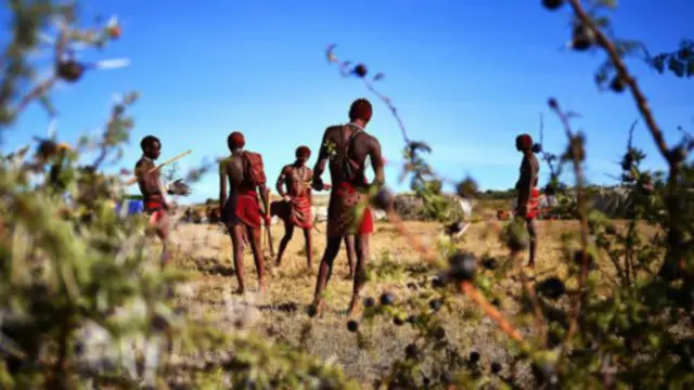 偷窥马赛人勇士（Masai warriors）。（图片来源：Carl de Souza/Getty）