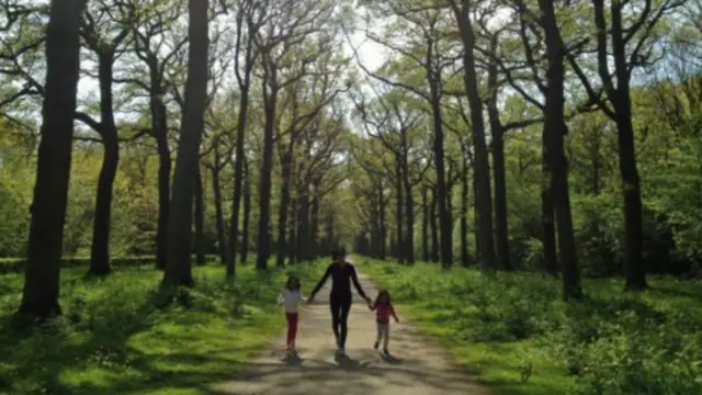 在森林裏漫步的一家人。（圖片來源：Prototype71 Design Pte Ltd / Getty Images）