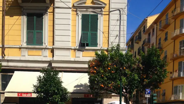 Сева в Генуе