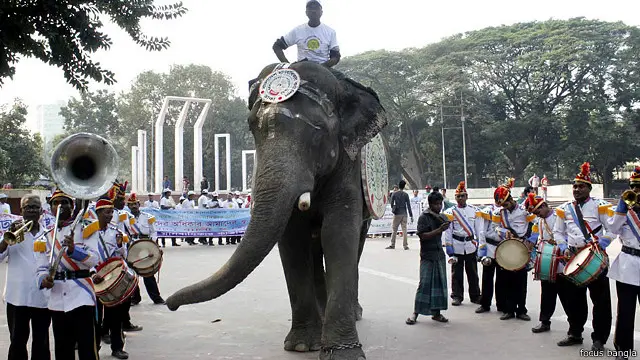 আন্তর্জাতিক মানবাধিকার দিবস ঢাকায় এক র‍্যালির নেতৃত্বে ছিল এই হাতিটি।