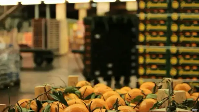 इटली, बोलोनिया, सौर ऊर्जा, फल-सब्ज़ी बाज़ार