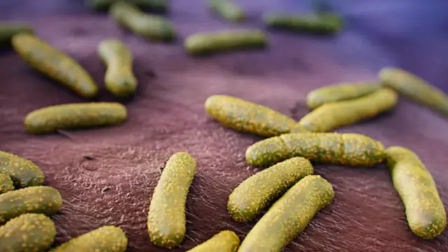 Wasu daga cikin halittun bakteriya masu amfani suna kare mu daga mitsi-mitsin halittu masu cutarwa