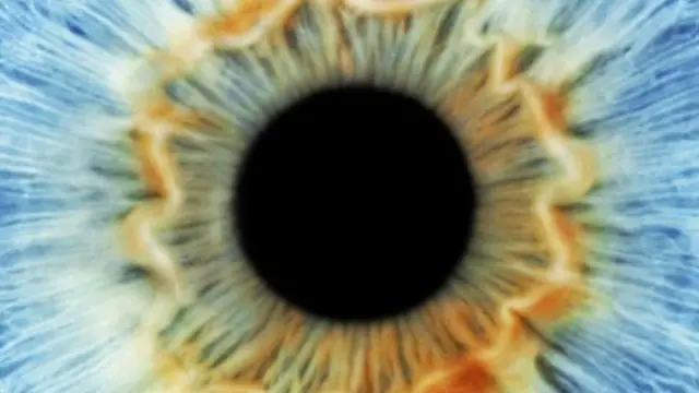 بحث نُشر العام الماضي يظهر أن اتساع حدقة العين له علاقة بقدرٍ من عدم اليقين خلال عملية اتخاذ القرار