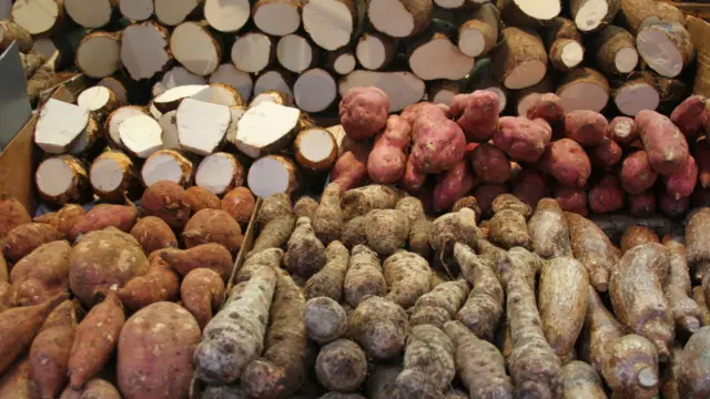 Il existe des centaines de variétés d’ignames mais seulement quelques-unes d’entre elles sont comestibles comme sur cette photo montrant un étal compose de différentes variétés d’ignames, de manioc et de patates douces. Yam en Anglais, yamyam en Haussa, gnambi en Wolof ou nyam en d’autres langues, signifie manger ou à table. 