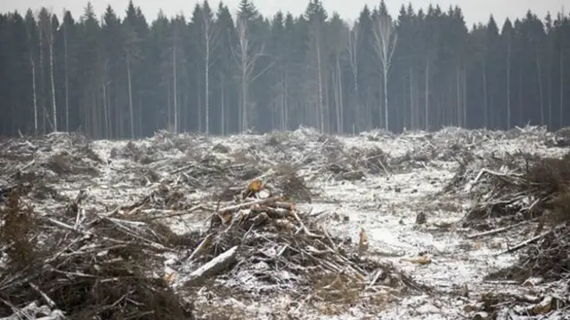 El documento final establece que el aumento de la temperatura global debe mantenerse por debajo de los 2 grados centígrados.