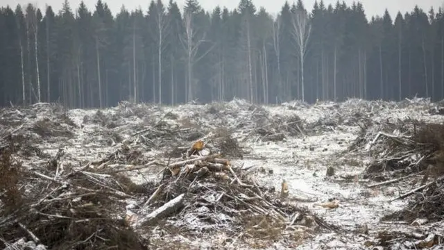وزير الخارجية الفرنسي، لوران فابيوس، قال إن مفاوض المحادثات اتفقوا على إبرام اتفاق عالمي وطموح للتغير المناخي
