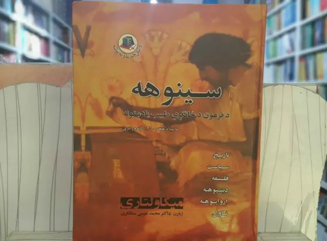 ښاغلي ستانکزي د سینوهه په ژباړه کې دومره خوندوره ژبه کارولې ده چې ان اوږدې جملې یې هم سړی په یوه ساه لوستلای شي او په لوستلو کې یې ستونزه نه احساسوي