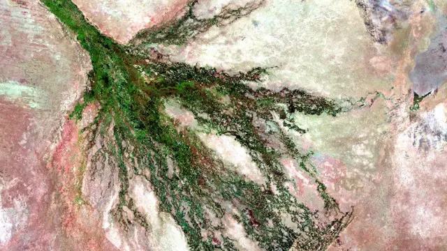 O delta do rio Okavango,qual melhor site de apostas desportivasBotswana, na África, se torna um oásis nesta época do ano pelo efeitoqual melhor site de apostas desportivasfortes chuvas. As dunasqual melhor site de apostas desportivasKalahari aparecem à esquerdaqual melhor site de apostas desportivascolaração rosa