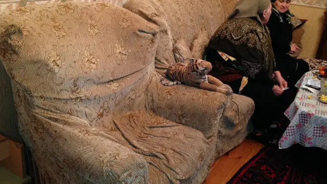 Zaur Əbdüləzizov: "Atam burada oturub televizora baxmağı sevirdi". 