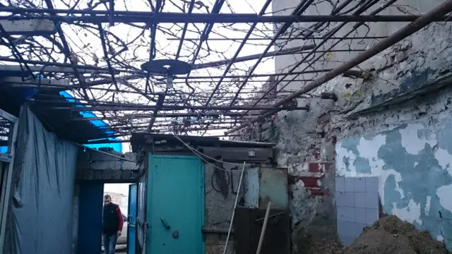 Boş vaxtlarında o, həyətdəki üzüm tənəyini budamağı sevərmiş. 