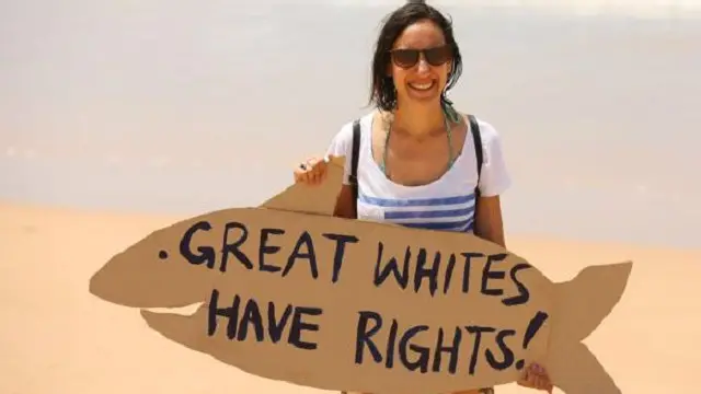 اعتبر مناصرو البيئة ذلك "الجدار البيئي" ناجحاً بعد اختباره لفترة استمرت طيلة عام كامل في ولاية أستراليا الغربية