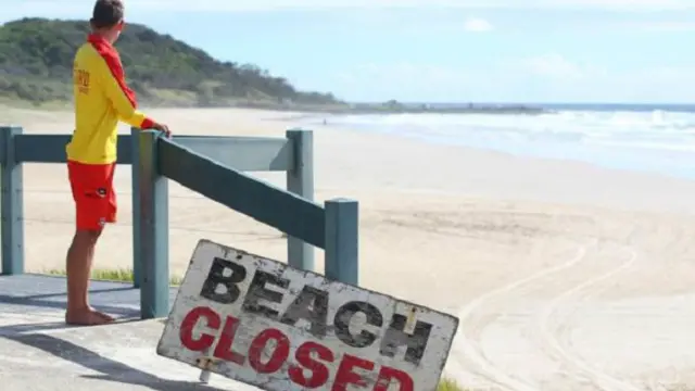 تشير تقديرات الى أن السلطات المحلية والاتحادية قد أنفقت 62 مليون دولار أسترالي (44 مليون دولار أمريكي) خلال السنتين الماضيتين للكشف عن أسماك القرش