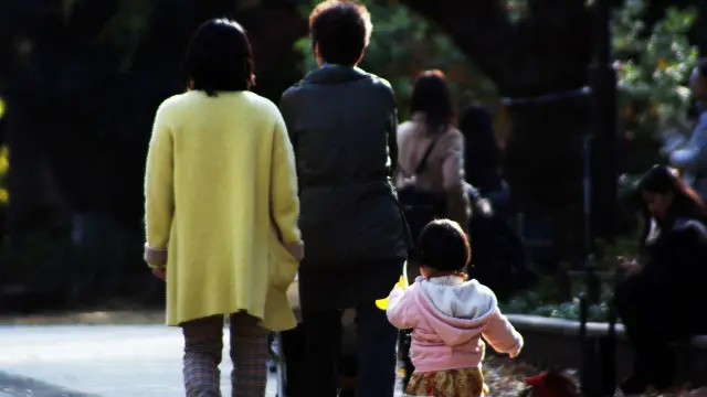 ဂျပန် မိသားစု အတော်များများက လင်ယောက်ျားရဲ့ မိသားစု အမည်ကိုသာ ယူသုံးနေခဲ့ကြ။