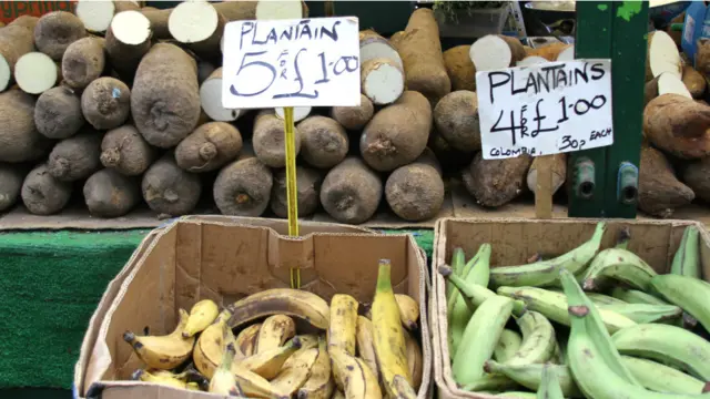 La banane plantain est plus riche en amidon que celle couramment consommée crue. C’est notamment ce qui rend sa chair plus dure et résistante à la cuisson. On l’utilise plutôt comme un légume pour accompagner les plats de viandes, légumes ou poissons. Qu’elle soit consommée en frites, on parlera alors d’alloco, comme composant du foutou banane ou découpée en petits morceaux auxquels on ajoute du sel, la banane plantain est un aliment versatile que l’on retrouve dans de nombreux plats. 