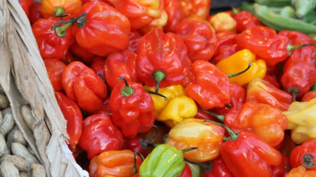 Le piment est une épice incontournable dans la cuisine africaine qui permet de parfumer les sauces et autres plats mijotés.
En sauce, il est souvent conservé entier pendant la cuisson. En purée, il sert d’accompagnement au sauces, viandes et poissons.
