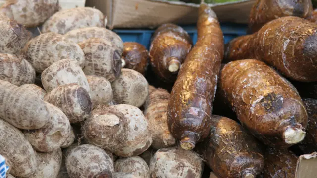 Le taro (macabo ou cocoyam en Anglais) est une tubercule, appelée aussi Songe, cultivée dans les pays chauds et humides. Les feuilles sont également comestibles. Selon la FAO, l’Afrique de l'Ouest est de loin la plus grande région productrice de taro avec le Nigeria, le Cameroun, le Ghana et la Côte-d'Ivoire en tête de liste. 