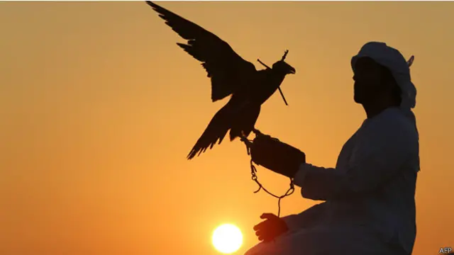 كان القطريون قد حصلوا على اذن من السلطات العراقية للصيد بالصقور